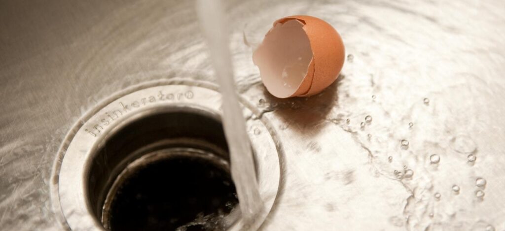 egg-shells-down-garbage-disposal